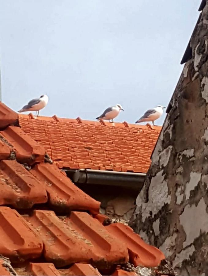 Hvar Heart Heritage Apartment Stari Grad  Εξωτερικό φωτογραφία